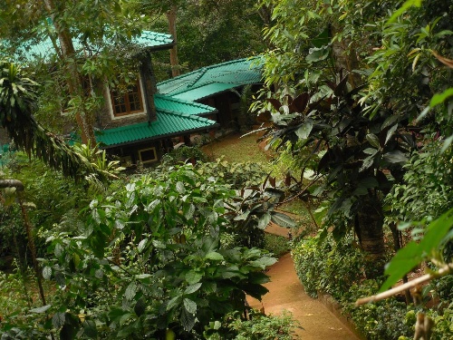 Le leopard d 'argent image 1