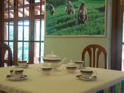 Le leopard d 'argent image 21