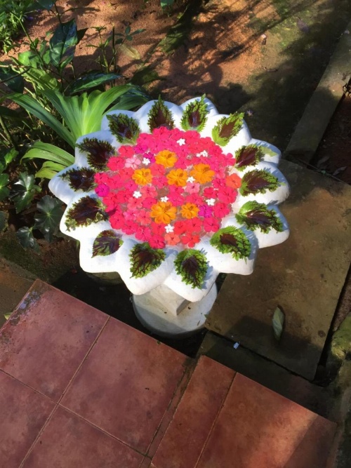 Le leopard d 'argent image 22