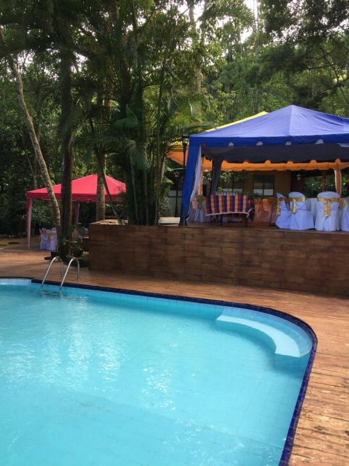 Le leopard d 'argent image 24