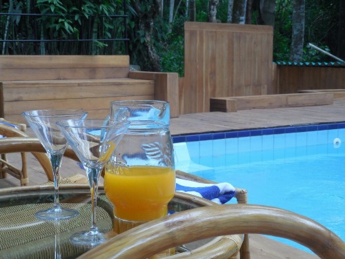 Le leopard d 'argent image 26