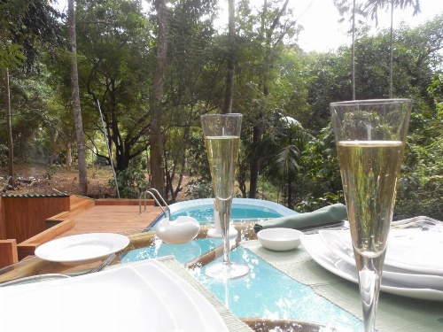 Le leopard d 'argent image 27