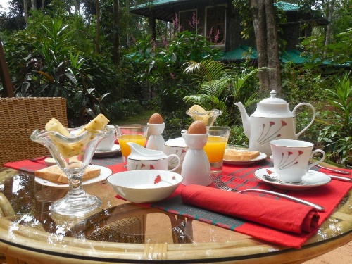 Le leopard d 'argent image 29