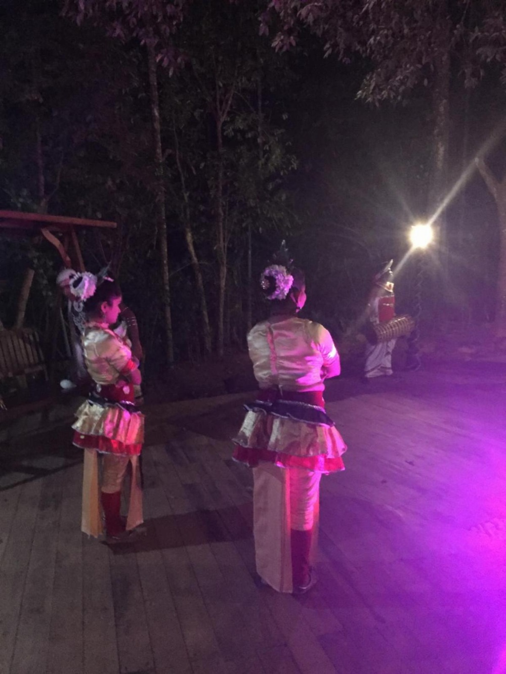 Le leopard d 'argent Main image