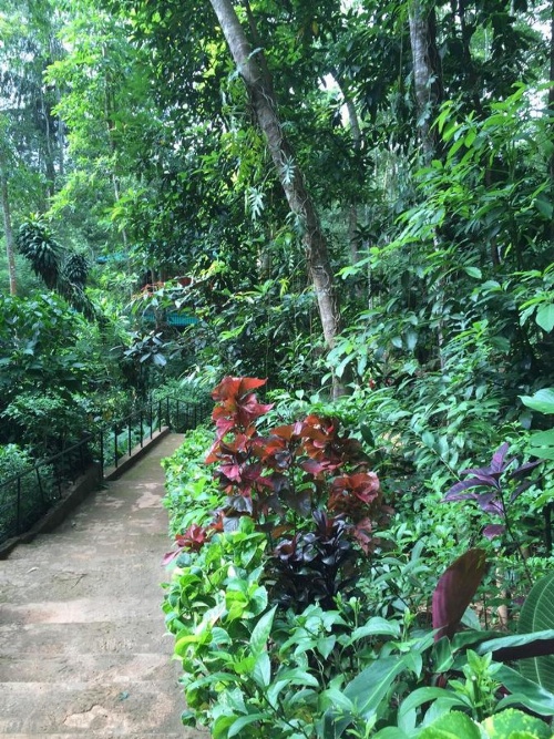 Le leopard d 'argent image 31