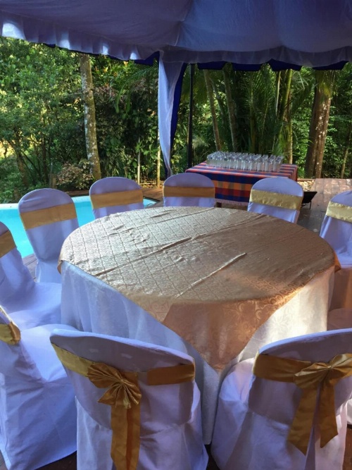 Le leopard d 'argent image 35