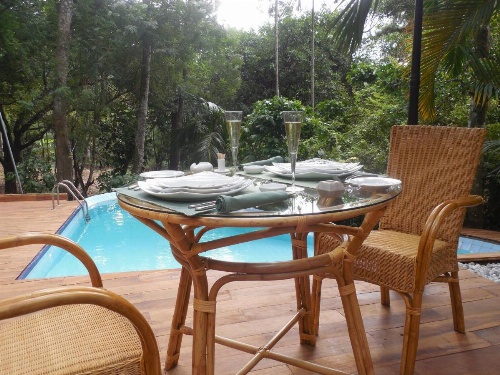 Le leopard d 'argent image 36