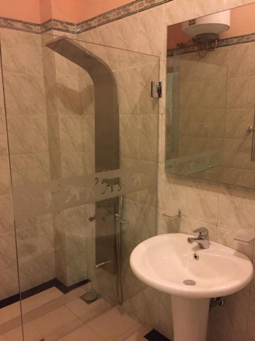 Le leopard d 'argent image 39