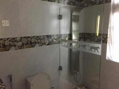 Le leopard d 'argent image 43