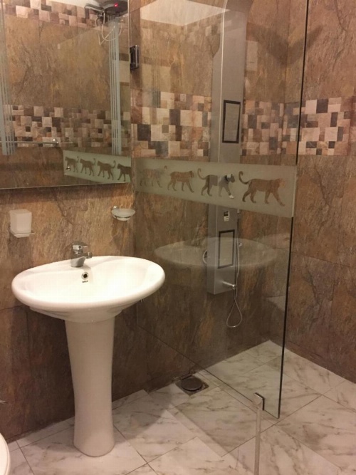 Le leopard d 'argent image 48