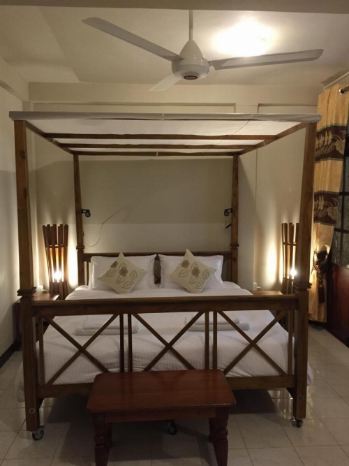 Le leopard d 'argent image 49